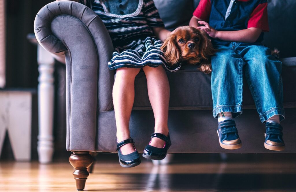 children, dog, pet, cute, footwear, girl, boy, kids, people, shoes, sitting, animal, sofa